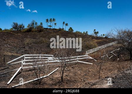 Hawi, HI, USA. 9. Aug. 2023. Der Brand in Akoni Pule im North Kohala District auf Hawai'i Island wurde am 9. August 2023 zu 60 Prozent eingedämmt. Die Wohngemeinde Kohala Ranch war gezwungen, die Gegend für etwa 24 Stunden zu evakuieren. Kredit: ZUMA Press, Inc./Alamy Live News Stockfoto