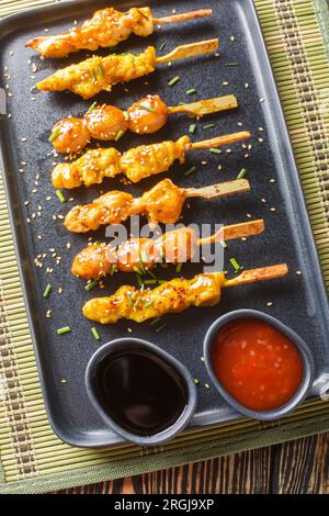 Yakitori Hähnchenspieße mit Kohlengrill Sortiment auf dem Teller auf dem Tisch. Vertikale Draufsicht von oben Stockfoto