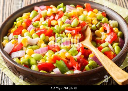Köstlicher Salat, zubereitet mit Edamam-Sojabohnen, Paprika, Mais, Tomaten und Zwiebeln, in einer Schüssel auf dem Tisch. Horizontal Stockfoto