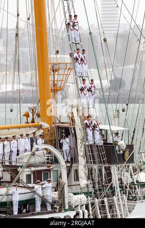 Matrosen an Bord des chilenischen Marineschiffs Esmeralda, das an einer internationalen Überprüfung der Marine im Hafen von Waitemata teilnimmt, und Klettern auf die Masten des chilenischen Marineschiffs, Esmeralda; Stockfoto