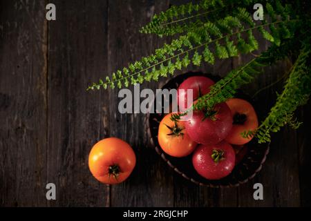 Oberste Schicht Tomaten mit Tautropfen in einem Holzkorb auf einem Holztisch mit Farnblättern Stockfoto