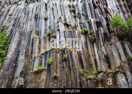 Basalt Rocks im Boyabat District. Sinop, Türkei. In Sinop gelegene Felsformationen in Form von Säulenbasalt. Basaltfelsen-Naturdenkmal. Stockfoto