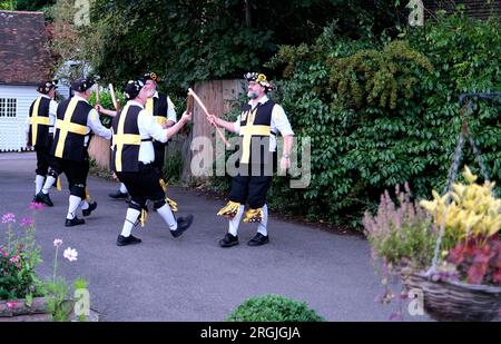 morris-Tänzer treten in Westbere auf, Sturry, Stadt canterbury, kent, uk, august 10 2023 Stockfoto