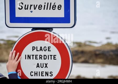 Sign at a French beach that reads (in English) 'Dogs are not allowed on this beach' Stock Photo