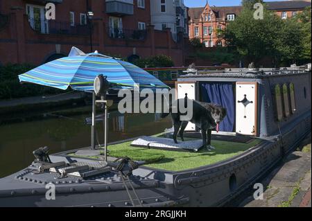 Brindley Place Birmingham, 10. August 2023: In Birmingham haben sich die Menschen in der heißen Morgensonne sportlich betätigt, bevor die Temperaturen in Midlands-Stadt voraussichtlich 26 Grad erreichen werden. Ein Hund namens Dash durfte sogar unter einem Sonnenschirm auf seinem Kanalboot sitzen und eine Kaugummi essen. Kredit: Stop Press Media/Alamy Live News Stockfoto