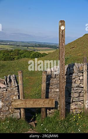 Durch die Steinmauer auf dem öffentlichen Fußweg, Buxton Stockfoto