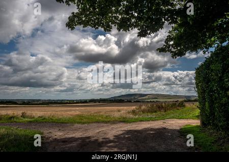 Alciston, August 6. 2023: Blick über das Ackerland von der Spur des Schmugglers Stockfoto