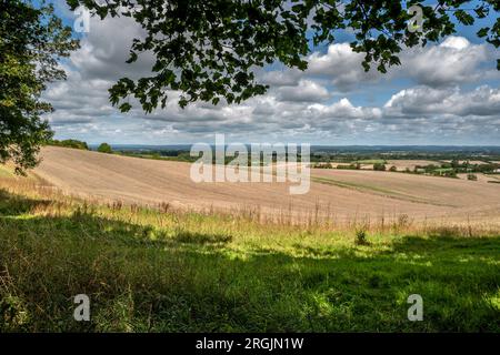 Alciston, August 6. 2023: Blick über das Ackerland von der Spur des Schmugglers Stockfoto