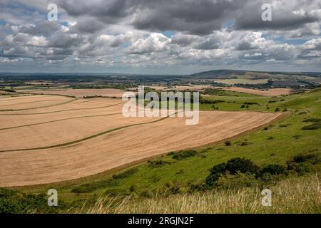 Alciston, August 6. 2023: Blick über das Ackerland von der Spur des Schmugglers Stockfoto