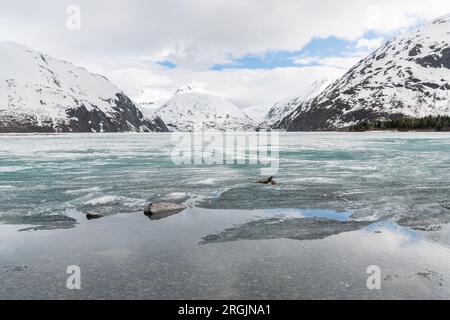 Eisdecken über dem Portage Lake, vom Begich Boggs Visitor Center mit Bard Peak in der Ferne Stockfoto