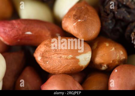 Frucht-Nuss-Mischung Stockfoto