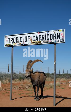 Tropic of Capricorn Schild mit einem Ibex darunter in der Namibwüste, Namibia Afrika Stockfoto