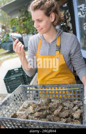 Austernfarmerin putzt sein Obst und Gemüse Stockfoto
