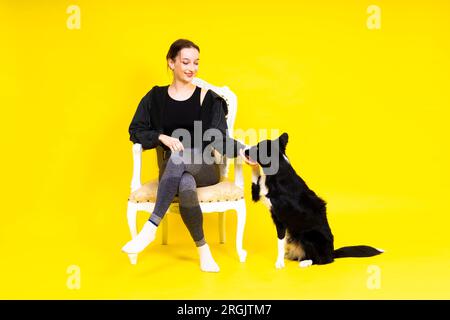 Das Hündchen lernt zu gehorchen. Hundeausbildungsbesitzer gibt dem Hund den Preis. Isolierter Hintergrund, Border Collie Stockfoto