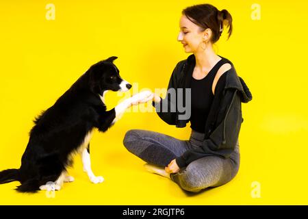 Das Hündchen lernt zu gehorchen. Hundetraining, Besitzer, der dem Hund den Preis gibt. Isolierter Hintergrund, Border Collie Stockfoto