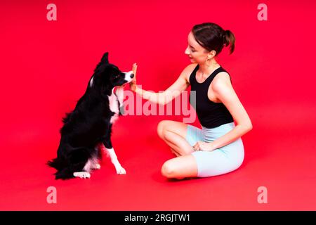 Das Hündchen lernt zu gehorchen. Hundetraining, Besitzer, der dem Hund den Preis gibt. Isolierter Hintergrund, Border Collie Stockfoto