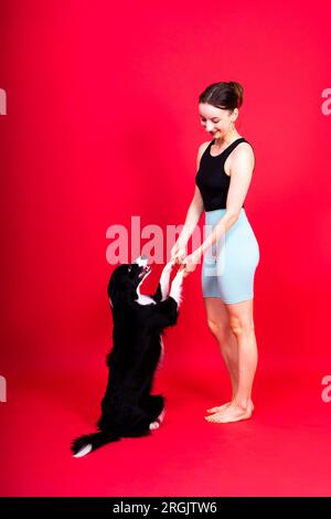Das Hündchen lernt zu gehorchen. Hundetraining, Besitzer, der dem Hund den Preis gibt. Isolierter Hintergrund, Border Collie Stockfoto