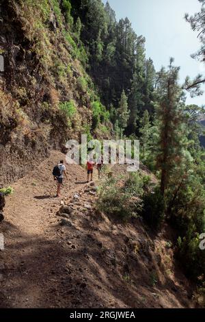 Wanderer, zwei Jungen und ein Vater mit Rucksäcken wandern entlang eines Pfades an einem Berghang zwischen Kiefern und Vegetation der Kanarischen Inseln. Vertikale Ansicht. Speicherplatz kopieren. Stockfoto