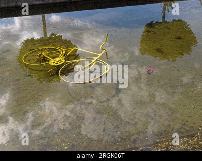 Altes gelbes Fahrrad liegt in einem Teich - mit Wasserspiegelung Stockfoto