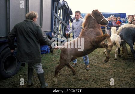 Stow on the Wold Gypsy Horse Fair 1990er UK. Ein Pferdehändler mit einem Pony zum Verkauf. Die jährliche Messe stammt aus dem Jahr 1476, als eine Charta erteilt wurde. Stow on the Wold, die Cotswolds, Gloucestershire, England, circa Oktober 1995. HOMER SYKES. Stockfoto