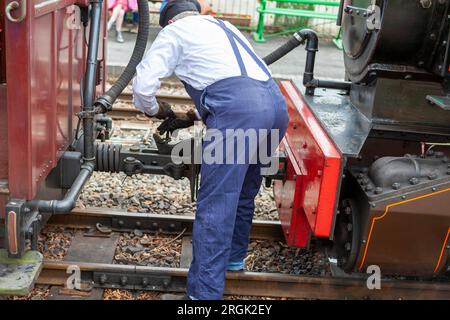 Ehrenamtlicher Bahnarbeiter der traditionellen Schmalspurbahn Lynton and Barnstaple Railway, die eine Dampflokomotive mit dem Zug verbindet: Woody Bay, Devon, Großbritannien Stockfoto