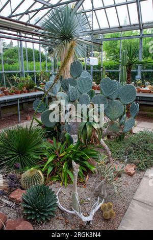 Der Ummauerte Garten Von Cannington Stockfoto