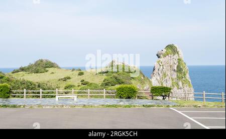 Monkey Rock, der von der Natur über viele Jahre geschaffen wurde, sieht aus wie ein Affe, der wegblickt, ist ein beliebtes Touristenziel. Stockfoto