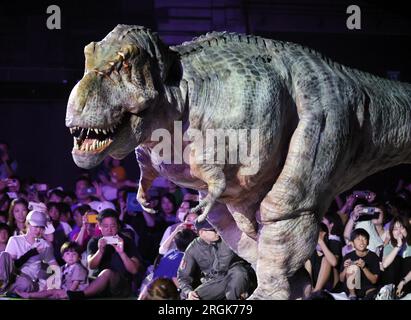 Yokohama, Japan. 10. Aug. 2023. Ein Schauspieler mit einem dinosaurierförmigen mechanischen Anzug tritt am Donnerstag, den 10. August 2023 in Yokohama, einem Vorort Tokios, bei einer Dinosauriershow „Dino Safari Gigant“ auf. Sommerurlauber genießen eine Dinosaurier-Live-Show, die in Yokohama, Sendai und Osaka stattfindet. (Foto: Yoshio Tsunoda/AFLO) Stockfoto