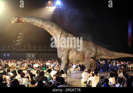 Yokohama, Japan. 10. Aug. 2023. Schauspieler in einem dinosaurierförmigen mechanischen Anzug treten am Donnerstag, den 10. August 2023, in einer Dinosauriershow „Dino Safari Gigant“ in Yokohama, einem Vorort Tokios, auf. Sommerurlauber genießen eine Dinosaurier-Live-Show, die in Yokohama, Sendai und Osaka stattfindet. (Foto: Yoshio Tsunoda/AFLO) Stockfoto
