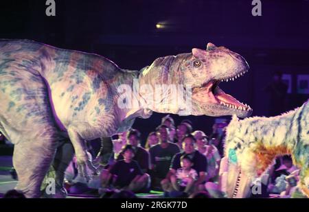 Yokohama, Japan. 10. Aug. 2023. Schauspieler in dinosaurierförmigen mechanischen Anzügen treten am Donnerstag, den 10. August 2023, in einer Dinosauriershow „Dino Safari Gigant“ in Yokohama, einem Vorort Tokios, auf. Sommerurlauber genießen eine Dinosaurier-Live-Show, die in Yokohama, Sendai und Osaka stattfindet. (Foto: Yoshio Tsunoda/AFLO) Stockfoto