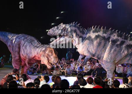 Yokohama, Japan. 10. Aug. 2023. Schauspieler in dinosaurierförmigen mechanischen Anzügen treten am Donnerstag, den 10. August 2023, in einer Dinosauriershow „Dino Safari Gigant“ in Yokohama, einem Vorort Tokios, auf. Sommerurlauber genießen eine Dinosaurier-Live-Show, die in Yokohama, Sendai und Osaka stattfindet. (Foto: Yoshio Tsunoda/AFLO) Stockfoto