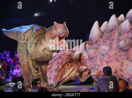 Yokohama, Japan. 10. Aug. 2023. Schauspieler in dinosaurierförmigen mechanischen Anzügen treten am Donnerstag, den 10. August 2023, in einer Dinosauriershow „Dino Safari Gigant“ in Yokohama, einem Vorort Tokios, auf. Sommerurlauber genießen eine Dinosaurier-Live-Show, die in Yokohama, Sendai und Osaka stattfindet. (Foto: Yoshio Tsunoda/AFLO) Stockfoto