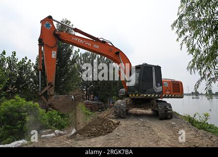 (230810) -- TIANJIN, 10. August 2023 (Xinhua) -- Ein Arbeiter betreibt eine Maschine zur Verstärkung eines Deichs im Bezirk Jinghai, nordchinesische Gemeinde Tianjin, 10. August 2023. Die lokalen Behörden haben die Hochwasserkontrolle und Katastrophenhilfe im Taitou-Abschnitt des Daqinghe-Flusses im Bezirk Jinghai der Gemeinde Tianjin in Nordchina fortgesetzt und den Bezirk auf Notfälle vorbereitet. (Xinhua/Zhao Zishuo) Stockfoto