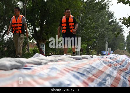 (230810) -- TIANJIN, 10. August 2023 (Xinhua) -- Anti-Flutpersonal Patrouille a Deich in Jinghai District, North China's Tianjin Municipality, 10. August 2023. Die lokalen Behörden haben die Hochwasserkontrolle und Katastrophenhilfe im Taitou-Abschnitt des Daqinghe-Flusses im Bezirk Jinghai der Gemeinde Tianjin in Nordchina fortgesetzt und den Bezirk auf Notfälle vorbereitet. (Xinhua/Zhao Zishuo) Stockfoto