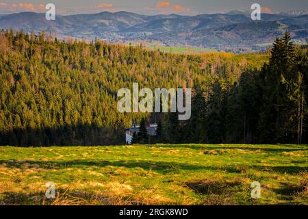 Bewaldete Hügel und Berge. Schlesische Beskiden (Beskiden Śląski). Der Wichtigste Beskids Trail. Karpaten, Polen, Polska Stockfoto