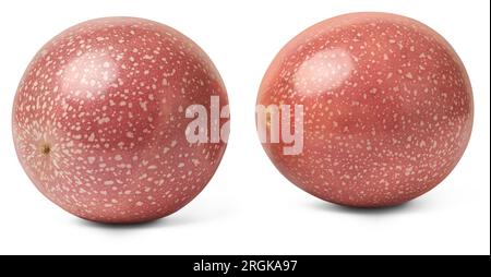 Violette Passionsfrucht, passiflora edulis, kleine, runde bis ovale tropische Früchte, die für ihren einzigartigen Geschmack und ihr Aussehen bekannt ist, isoliert auf Weiß Stockfoto