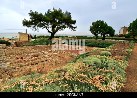 Griechenland, Chalkidiki - Tempel des Ammon Zeus eine antike archäologische Stätte in Kallithea am Ufer der Ägäis Stockfoto