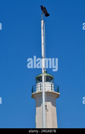 Griechenland, Raven hoch oben auf dem Fahnenmast vor dem Leuchtturm von Possidi auf der Halbinsel Kassandra in Chalkidiki Stockfoto