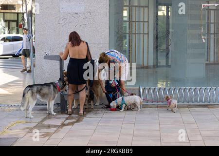 Eine Auswahl an Bildern von Torremolinos, und auch Malagathe Hauptstadt. Die Costa del Sol in Spanien. Stockfoto