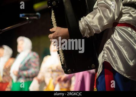 Ich Spiele Volksinstrument. Folklore-Ensemble. Akkardion in der Hand. Leistung auf der Bühne. Stockfoto