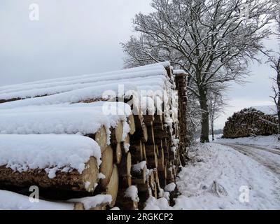 Die Stämme der gefällten Bäume werden zusammengesetzt. Mit Schnee bedeckt und ein verschneiter Pfad Stockfoto
