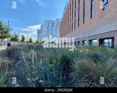 Außenansicht des Kraftwerks battersea mit neu gebauten, teuren Wohnungen und Pflanzbeeten südlich von london, england, großbritannien Stockfoto