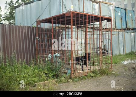 Hundekäfig. Hund in Stahlvogelhaus. Ein streunendes Tier gefangen. Aggressiver Hund hinter Gittern. Stockfoto