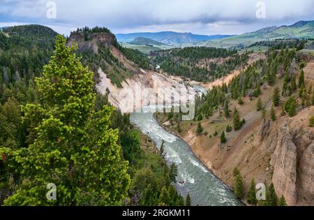 Calcite Springs Overlook, Yellowstone River bei den Narrows, Yellowstone National Park, Wyoming, Vereinigte Staaten von Amerika Stockfoto