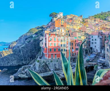 Panoramablick aus der Vogelperspektive auf die Stadt Riomaggiore mit vielen bunten Häusern und die Bucht mit kleinen Booten in Cinque Terre am frühen Morgen Stockfoto