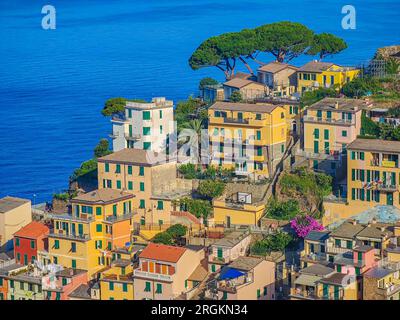 Panoramablick aus der Vogelperspektive auf die Stadt Riomaggiore mit vielen bunten Häusern und die Bucht mit kleinen Booten in Cinque Terre am frühen Morgen Stockfoto