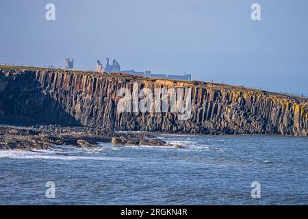 Die Klippen von Cullernose Point auf dem Northumberland Coast Path mit Dunstanburgh Castle im Hintergrund, Northumberland, England Stockfoto