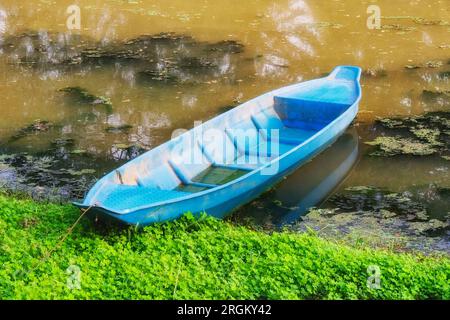 Ein blaues Boot ruht auf einem grünen Flussufer. Stockfoto