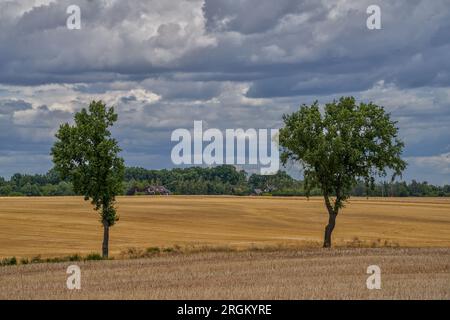 Sturmwolken am dunklen Sommerhimmel Niederschlesien Polen Stockfoto