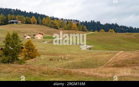 Windige Straßen-Chalet-Holzhäuser. Leute, die draußen wandern. Helathie-Lebensstil Stockfoto